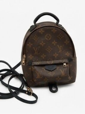 Louis Vuitton Brown and Black Monogram Palm Springs Mini Backpack